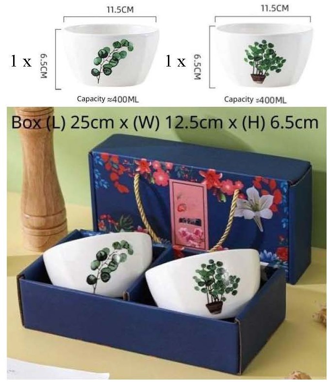 Ensemble de 2 bols de 11,4 cm (4,5 po)