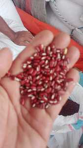 Kırmızı fasulye - Product Image 2