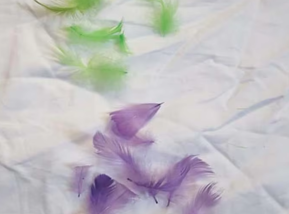 Custom Colors For Feathers Available