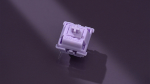 WS POM + anahtarı özelleştirilmiş klavye mekanik oyun anahtarı - Product Image 6