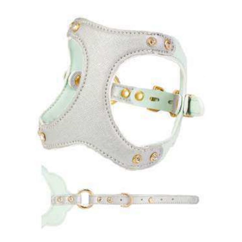 C27 - Silver&Mint
