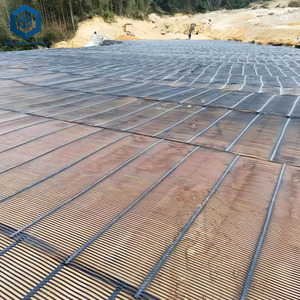 <span class=keywords><strong>Geogrid</strong></span> vải đường lái xe hai trục lưới <span class=keywords><strong>geogrid</strong></span> chi phí cho mỗi mét vuông cho Đường Cơ Sở gia cố - Product Image 4
