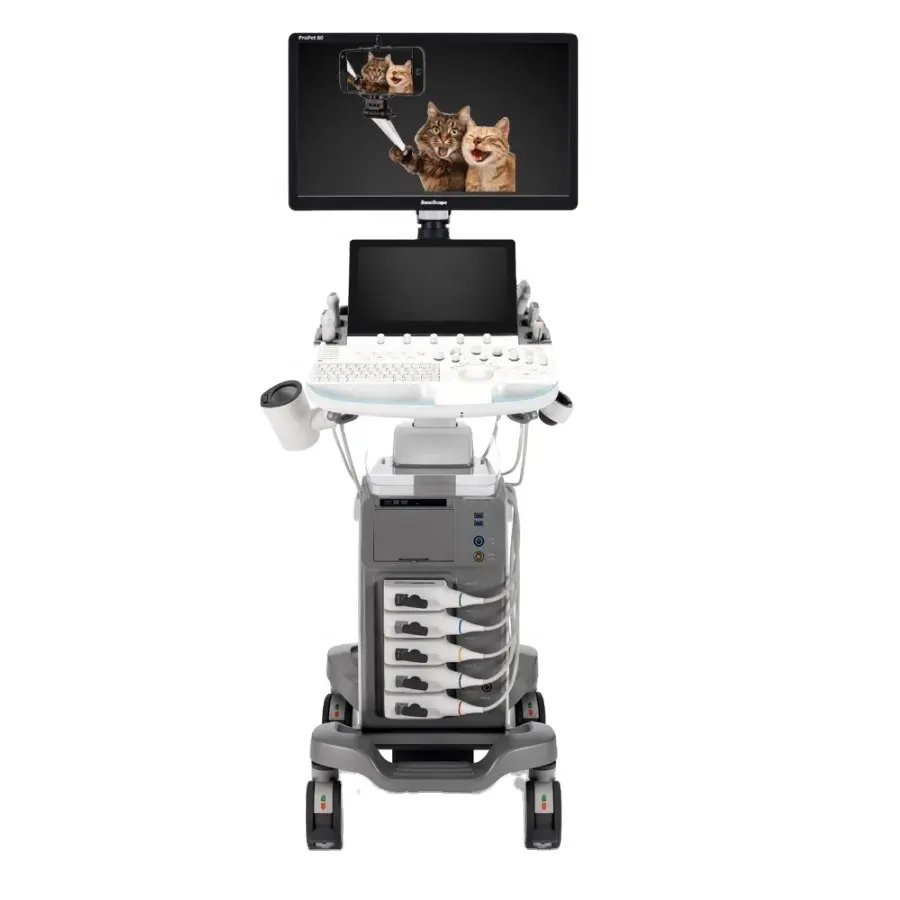 SonoScape Machine à ultrasons 4D/2023 Diagnostic par ultrasons Doppler pour chien chat chèvre