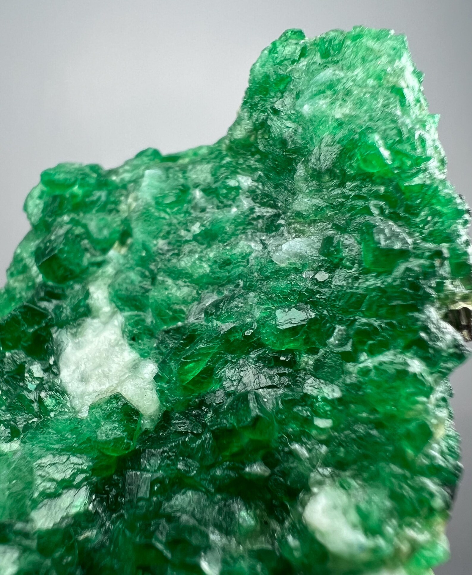 Vert