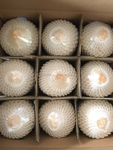 Noci di cocco fresche/Semi sbucciato noci di cocco/cocco con un buon prezzo + 84765149122 - Product Image 2