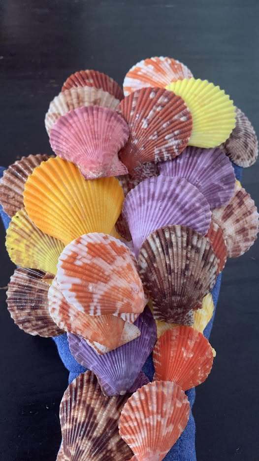Couleurs mélangées