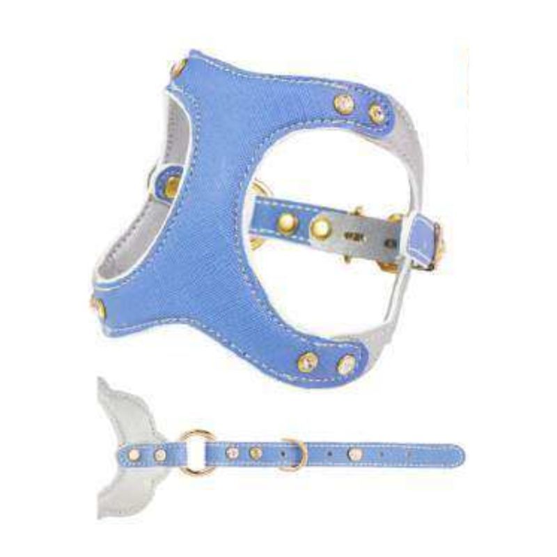 C20 - Deepblue&Silver