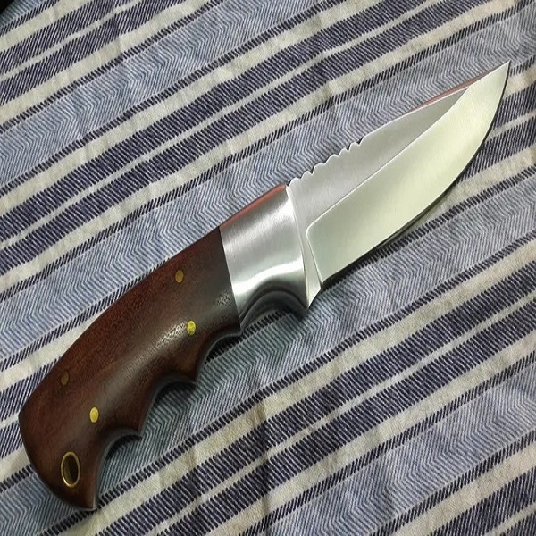 Skinner-1