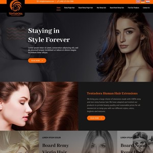 B2B Web sitesi tasarımı ve geliştirilmesi Online servis sağlayıcı Portal Web oluşturucu WordPress yazılımı HTML CSS Javascript yazılımı
