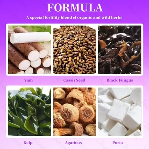 गर्भाधान चाय प्रसवपूर्व विटामिन इनोसिटोल, फोलेट और अश्वगंधा के साथ चाय प्रसवपूर्व विटामिन हार्मोन, चक्र और प्रजनन क्षमता चाय का समर्थन करता है। - Product Image 3