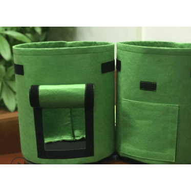Green Color