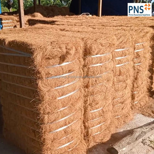 Kokos faser kommt aus Indonesien mit garantierter Produkt qualität, die als industrielle Rohstoffe verwendet werden kann