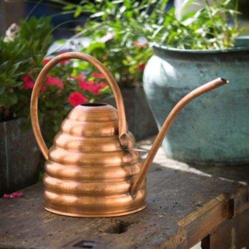 ตามที่แสดง