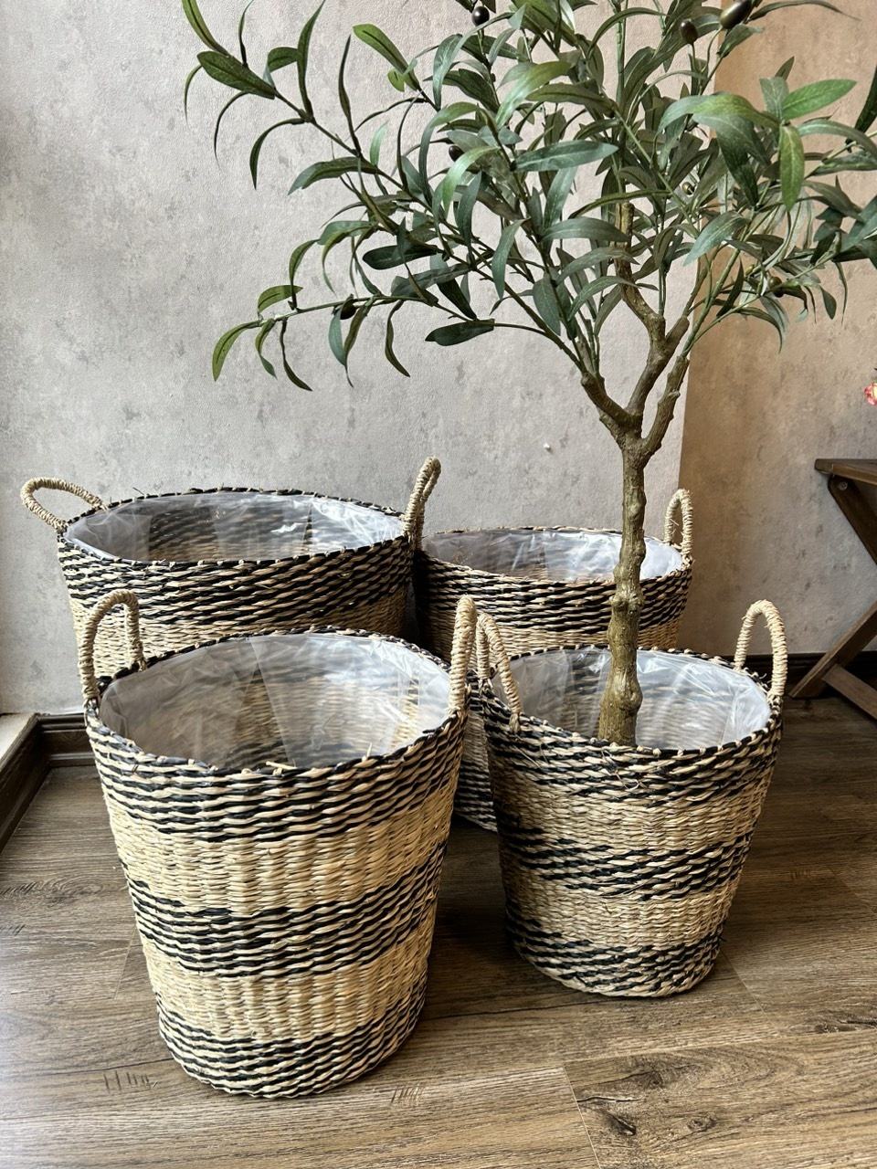 สีธรรมชาติ