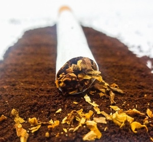 Best Rolling Herbal Blends Sweet Earthy Taste Peppery Notes Sage Nettle Relaxing Herbs White Label and Bulk Herbal Blends - Product Image 2