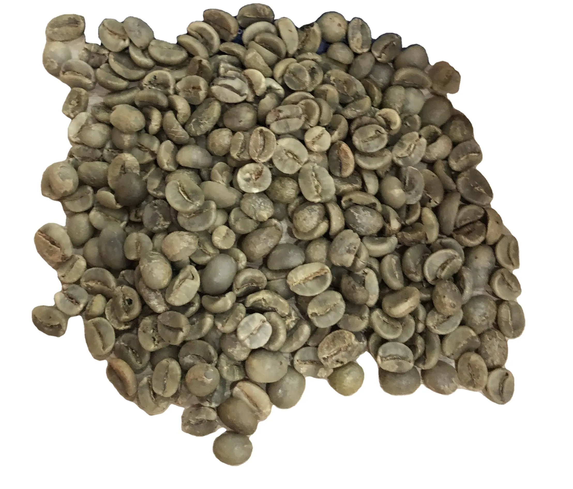 Best Arabica Green Coffee Beans Günstiger Preis von South Mekong 84972678053