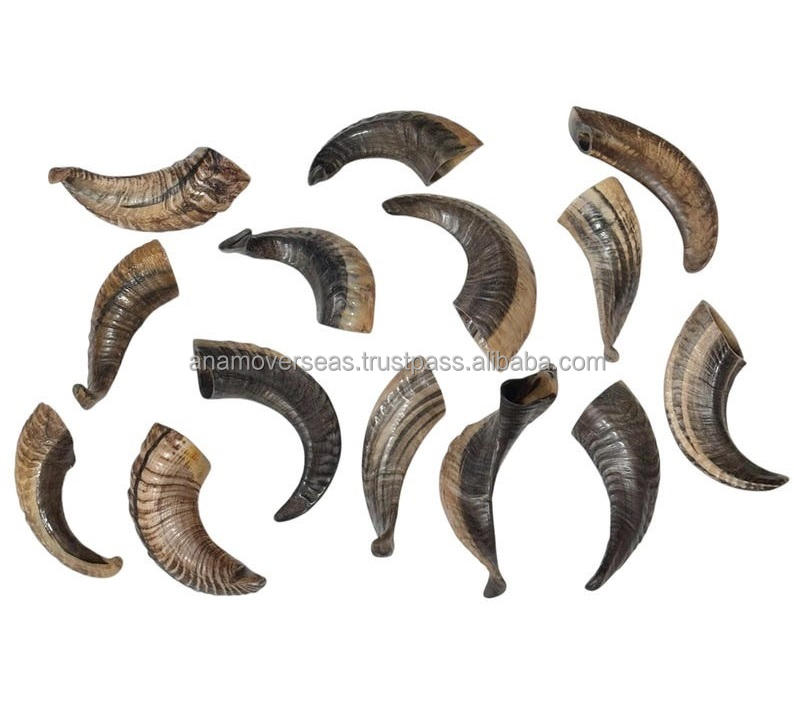 ธรรมชาติ