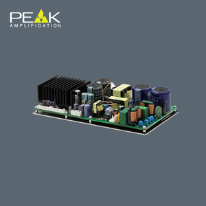 İki kanal, kanal D sınıfı ayarlanabilir amplifikatör modülü başına 250 W / 4 Ω - Product Image 3