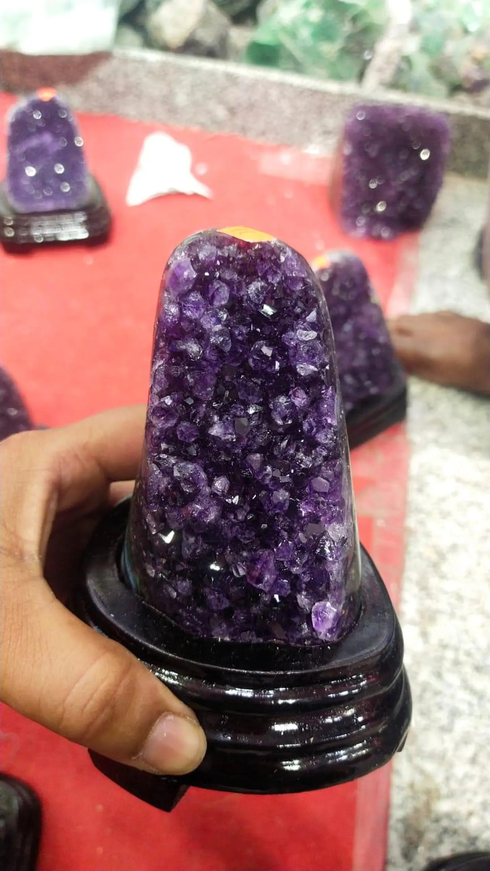 Pourpre