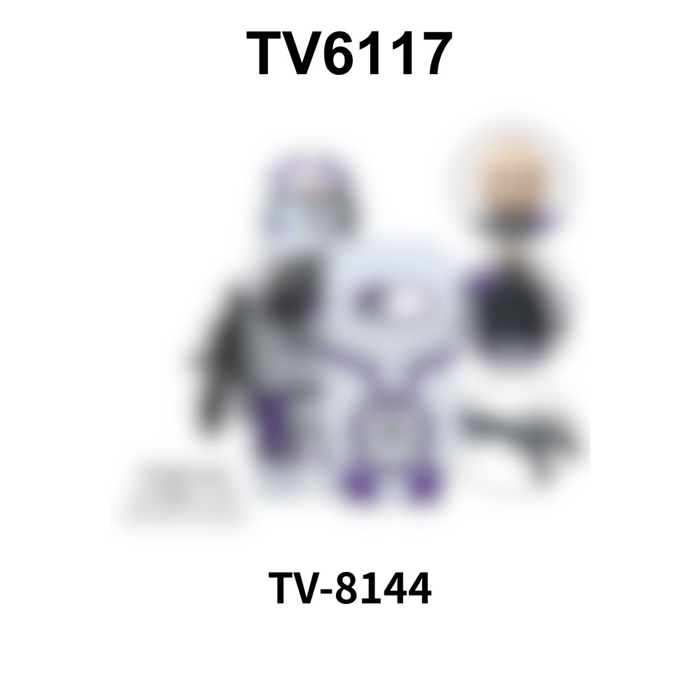 TV8148