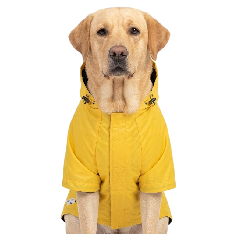Jaune