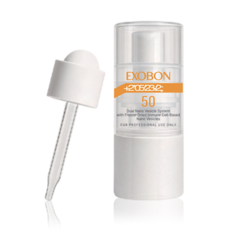 STMX (Cellule sèche humaine)