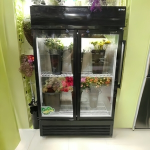 Hortênsia Congelador Preservação para Mercados De Flores, Direct Cooling System & Prateleiras Industriais (100kg Capacidade De Carga)