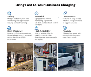 240kW <strong>Output</strong> with CE and TUV Certifications CCS1 CCS2 CHAdeMO OEM ODM Fast Ev Dc Charger Station for Charger Vehicles - Product Image 6
