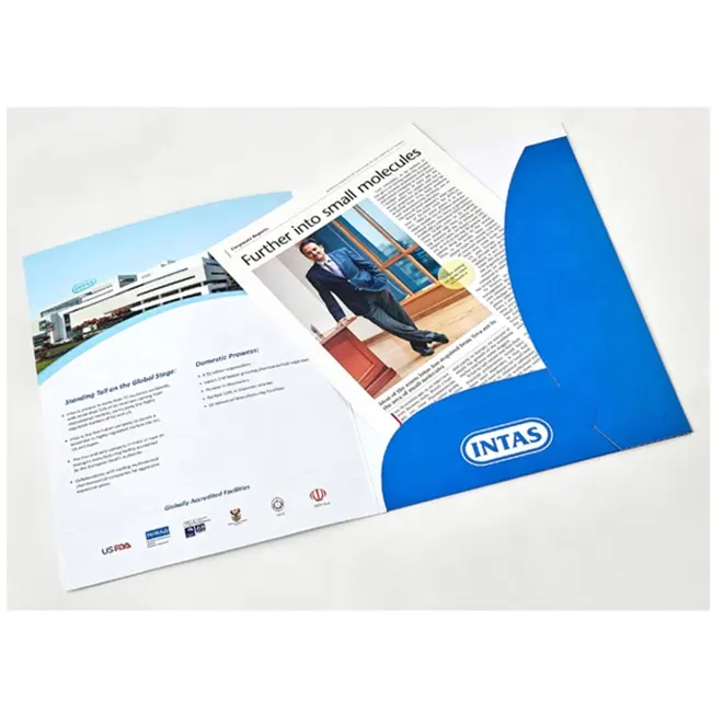 Servizio di Brochure per la stampa del catalogo di cartone più venduto/stampa di Brochure/Brochure per la stampa di volantini