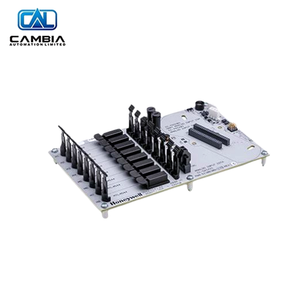 Ingresso analogico CC-GAIX11 GI/è IOTA per Controller PLC industriale - Product Image 4