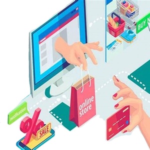 Professional <strong>Website</strong> Designers' Services Custom Development and E-Commerce Solutions Mac OS Supported Direct Stock Version - Product Image 1