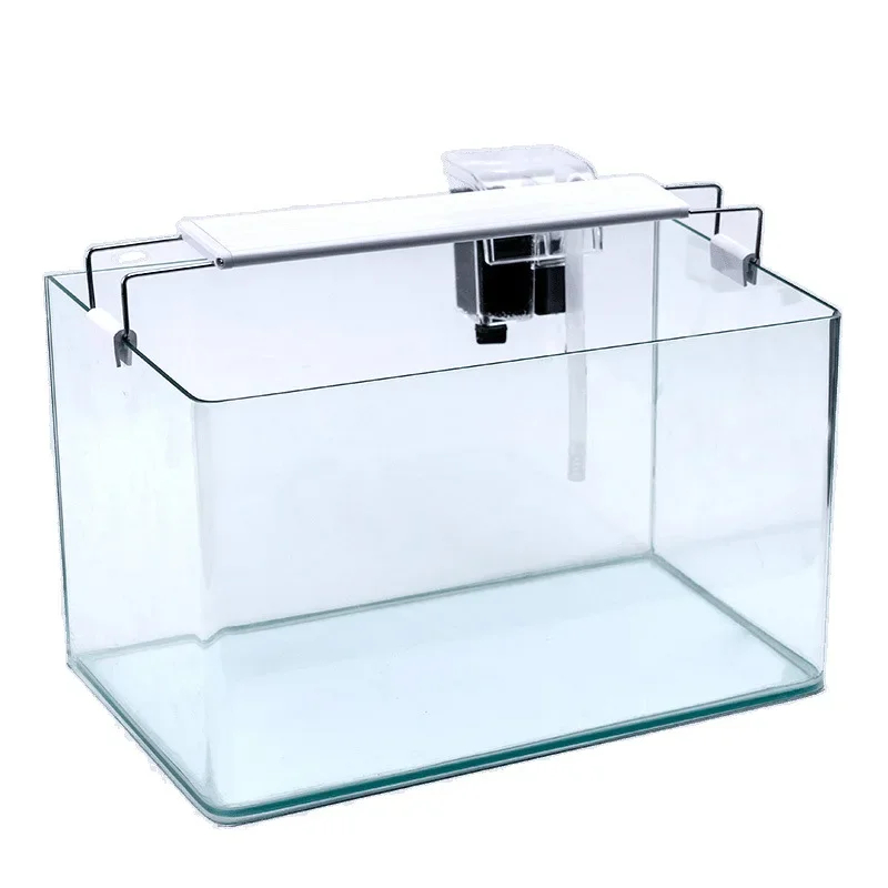 Transparent