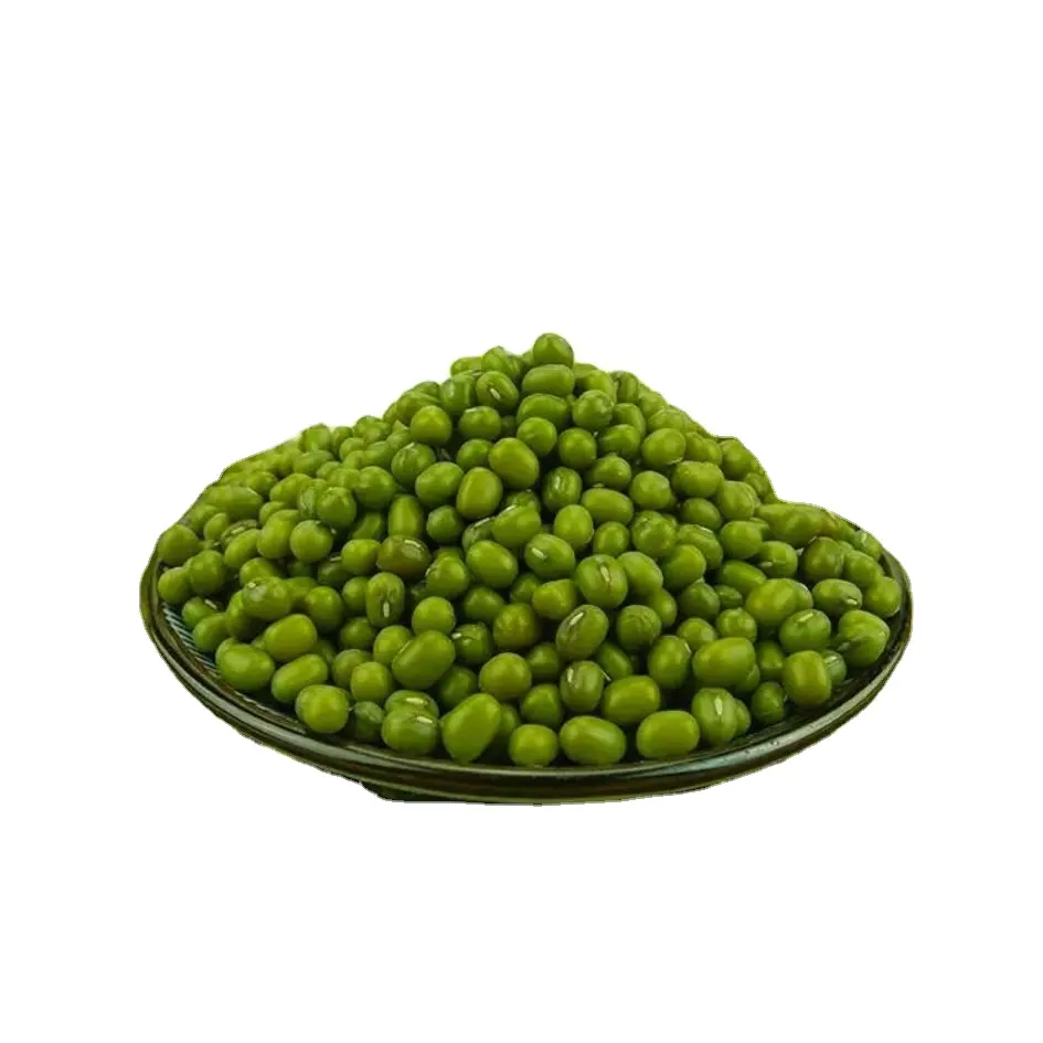Haricot mungo vert de germination de haute qualité style séché délicieux haricot mungo vert à vendre à bon prix