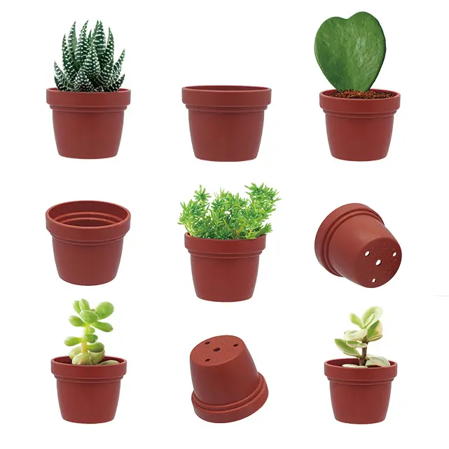 Mini succulent flower pots to fit in ceramic cement decorated pots