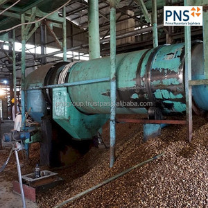 Kuzey Sumatra endonezya tipik sürdürülebilir biyoyakıt üretimi ve doğal sabun için ecofriendly palm kernels satılık - Product Image 6