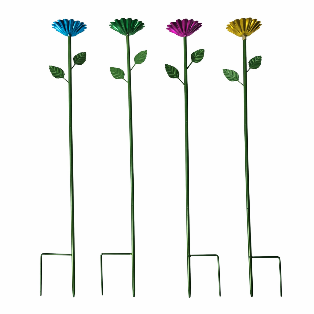 Multicolore