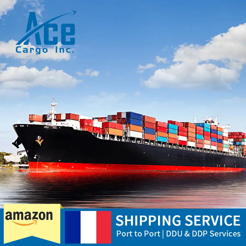 International DDP Sea Freight Shipping Company de China a Francia Freight Forwarder Shipping Agent