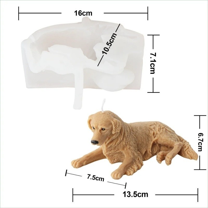 Modèle de chien aux cheveux dorés couché sur le côté YT24082