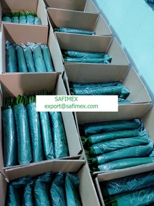 Dong yaprak sarılmış Chung kek vietnamca Tet tatil OEM gıda ambalajı - Product Image 6
