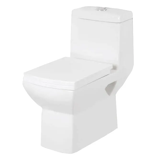Toilette monobloc Rubic de haute qualité avec toilette en céramique dissimulée simple encastrée couleur blanche