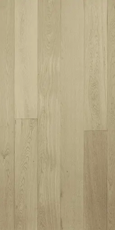 Ivory Cream