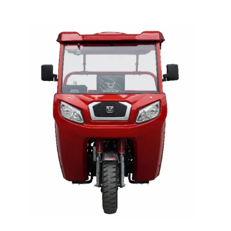 China 3 Wheel Motorcycle Semi-Enclosed Covered ONE Seat Adults Three Wheel Electric Tricycles