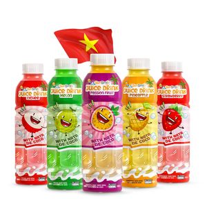 500ml özel etiket OEM/ODM ücretsiz örnek Blueberry suyu ile Nata De Coco içecekler PET şişe içinde paketlenmiş olabilir (kalaylı) kutusu - Product Image 5