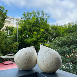 Diamond Cut <strong>Coconut</strong> from Vietnam Premium Young <strong>Coconuts</strong> with Sweet Water and Soft Meat Ready to Drink and Export Worldwide - Product Image 1