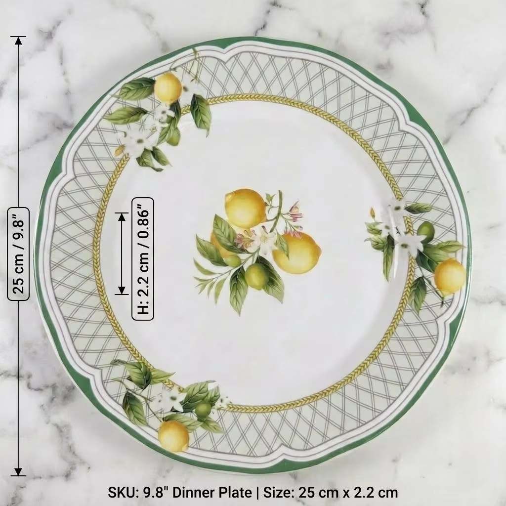 9.8 inch plate