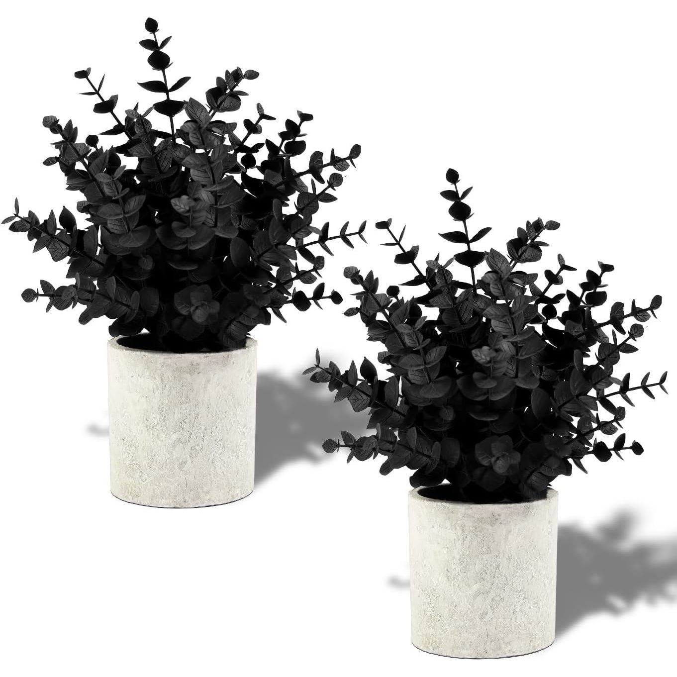 Black small Color