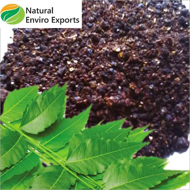 Torta di semi di Neem puro e biologico per le vendite/fertilizzante biologico in agricoltura