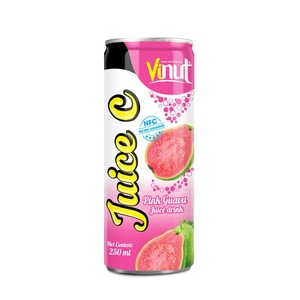 VINUT doğal Guava suyu içeceği için 250ml şişede özenle işlenmiş püre meyve ve sebze suyu - Product Image 1