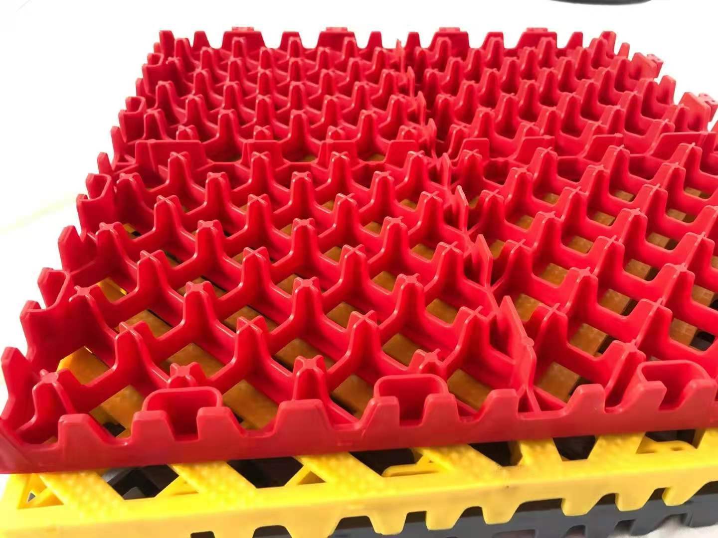 Rojo