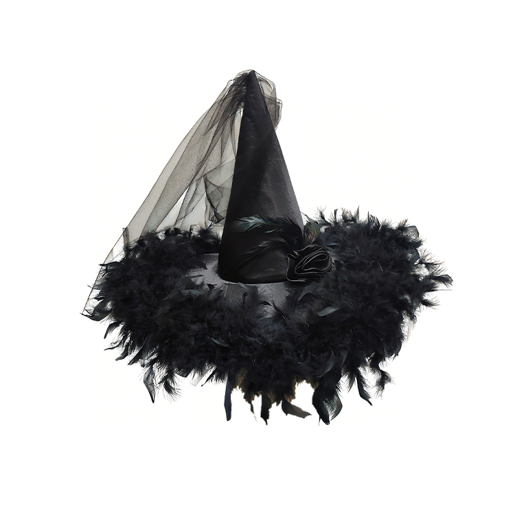 Black Feather Witch Hat